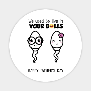 We Used To Live In Your Balls Happy Father's Day Magnet